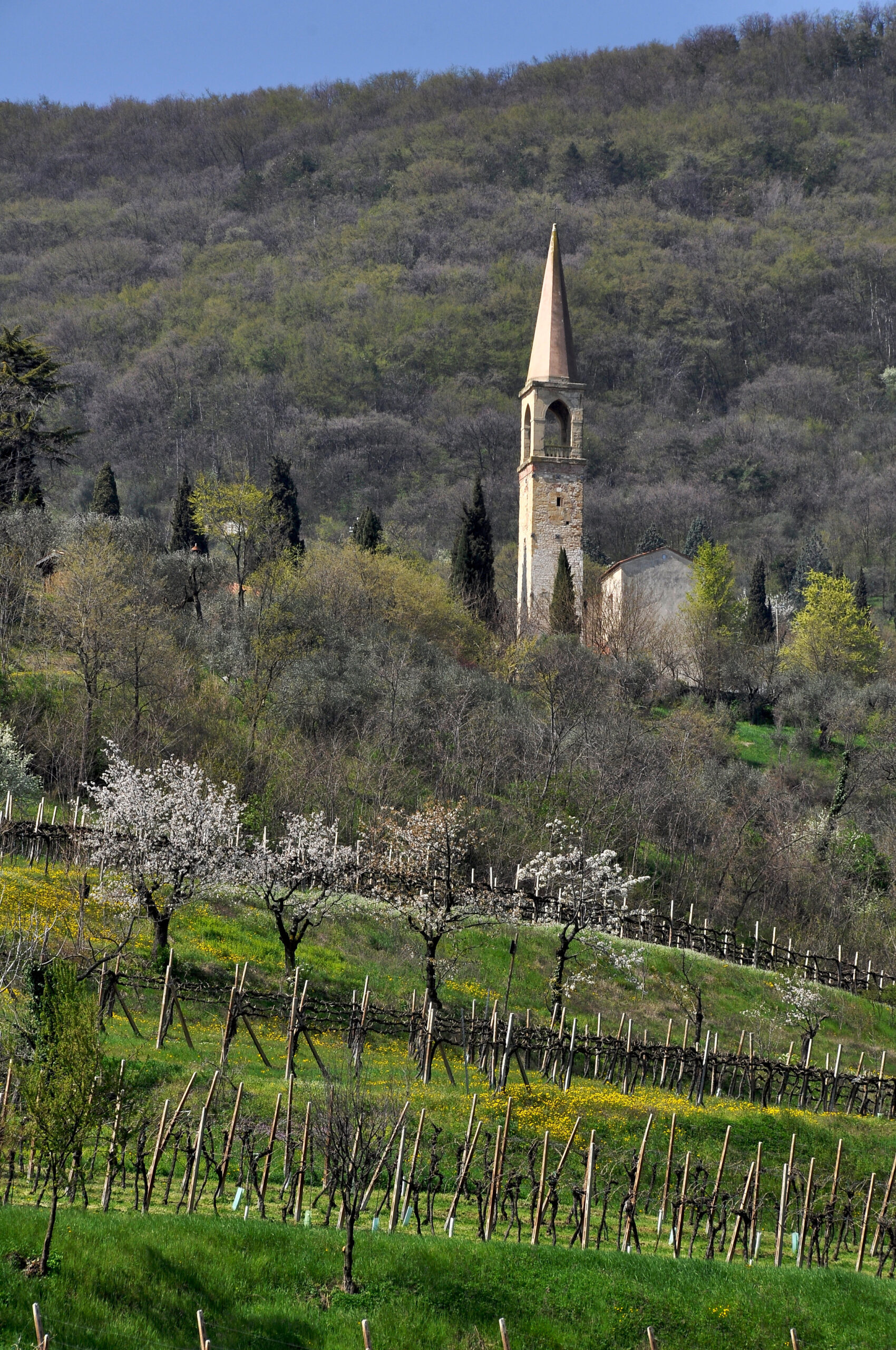 castegnero chiesa provincia di vicenza veneto