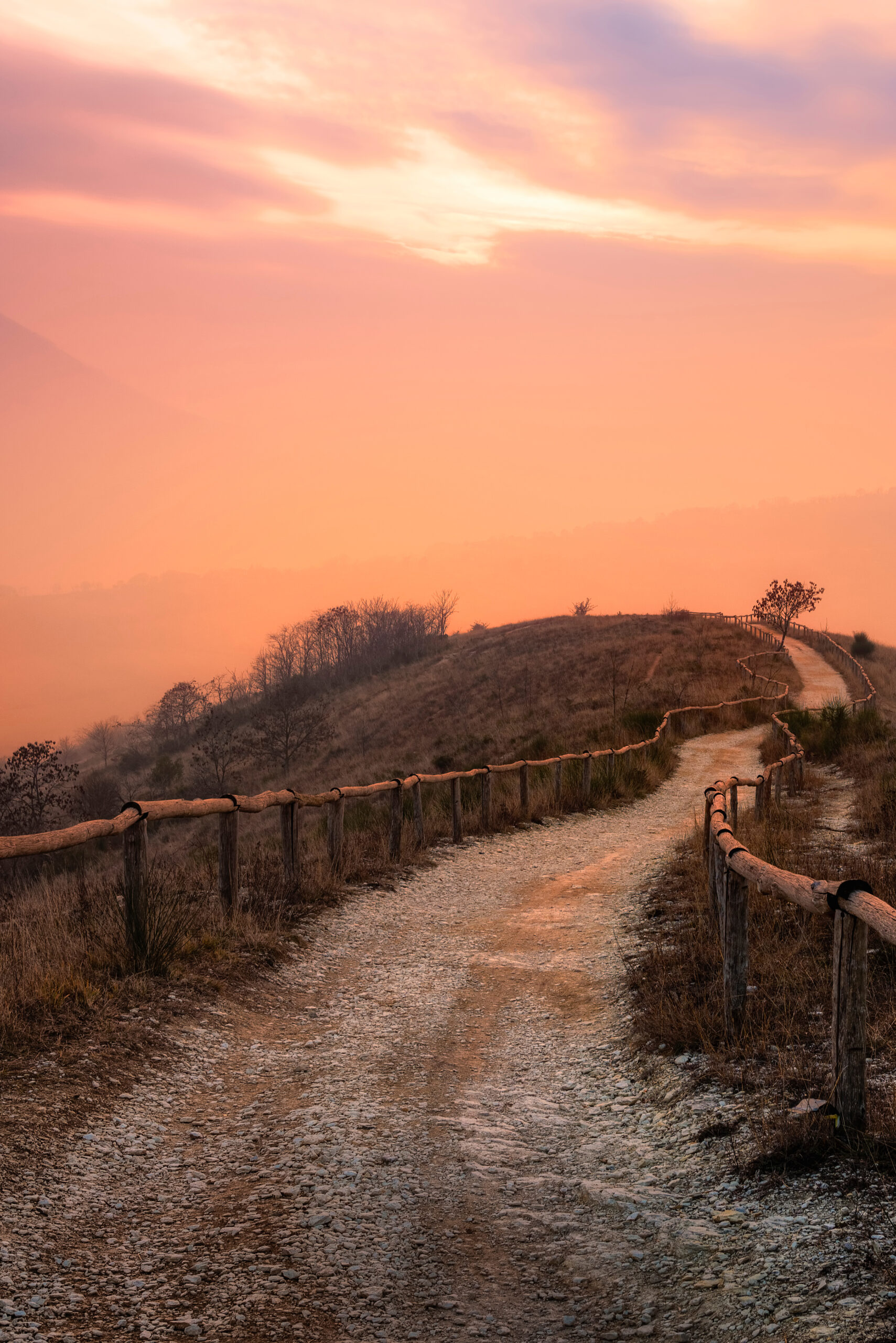 Sentiero al tramonto sui Colli Euganei