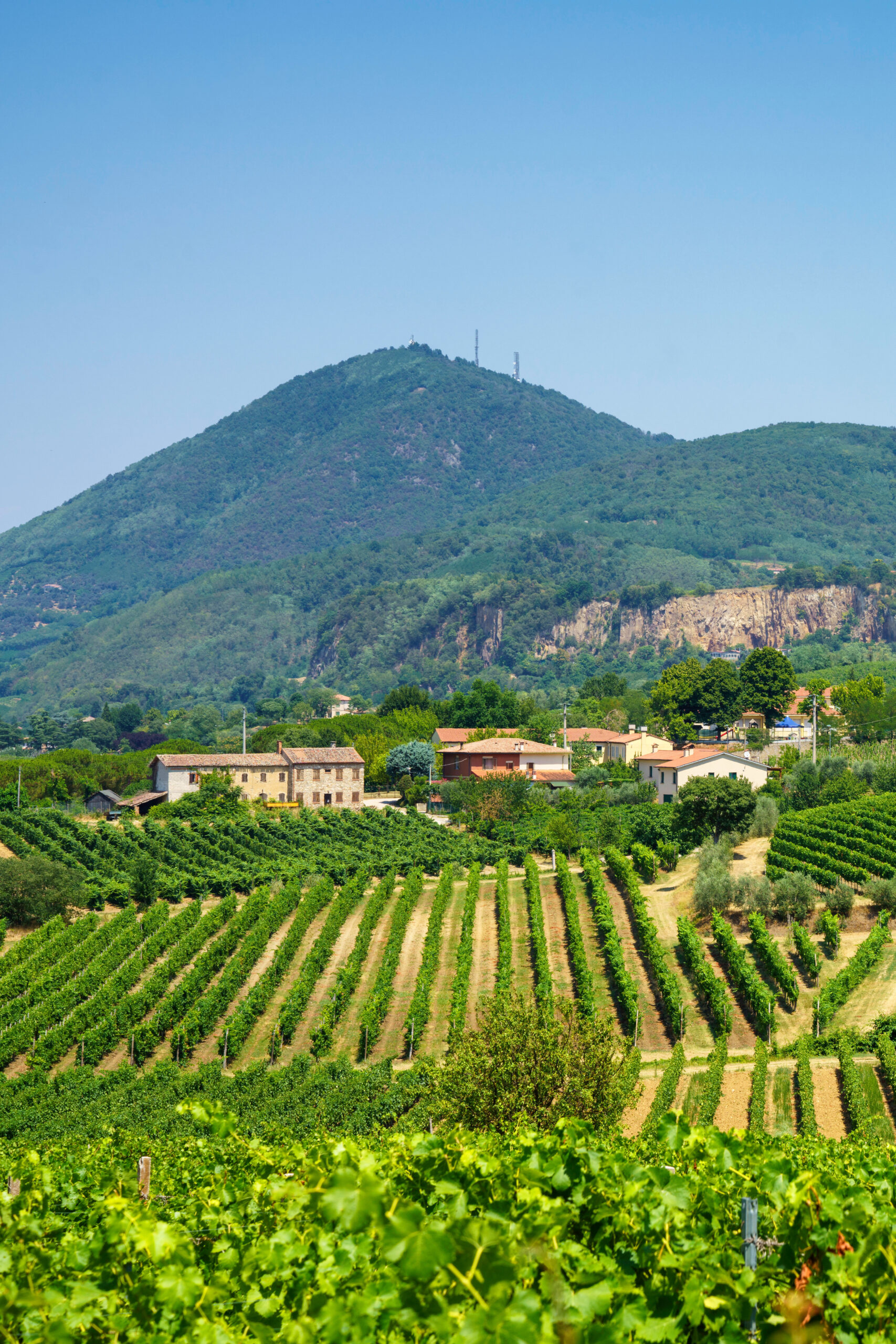 Summer landscape on the Colli Euganei, Padua, Italy