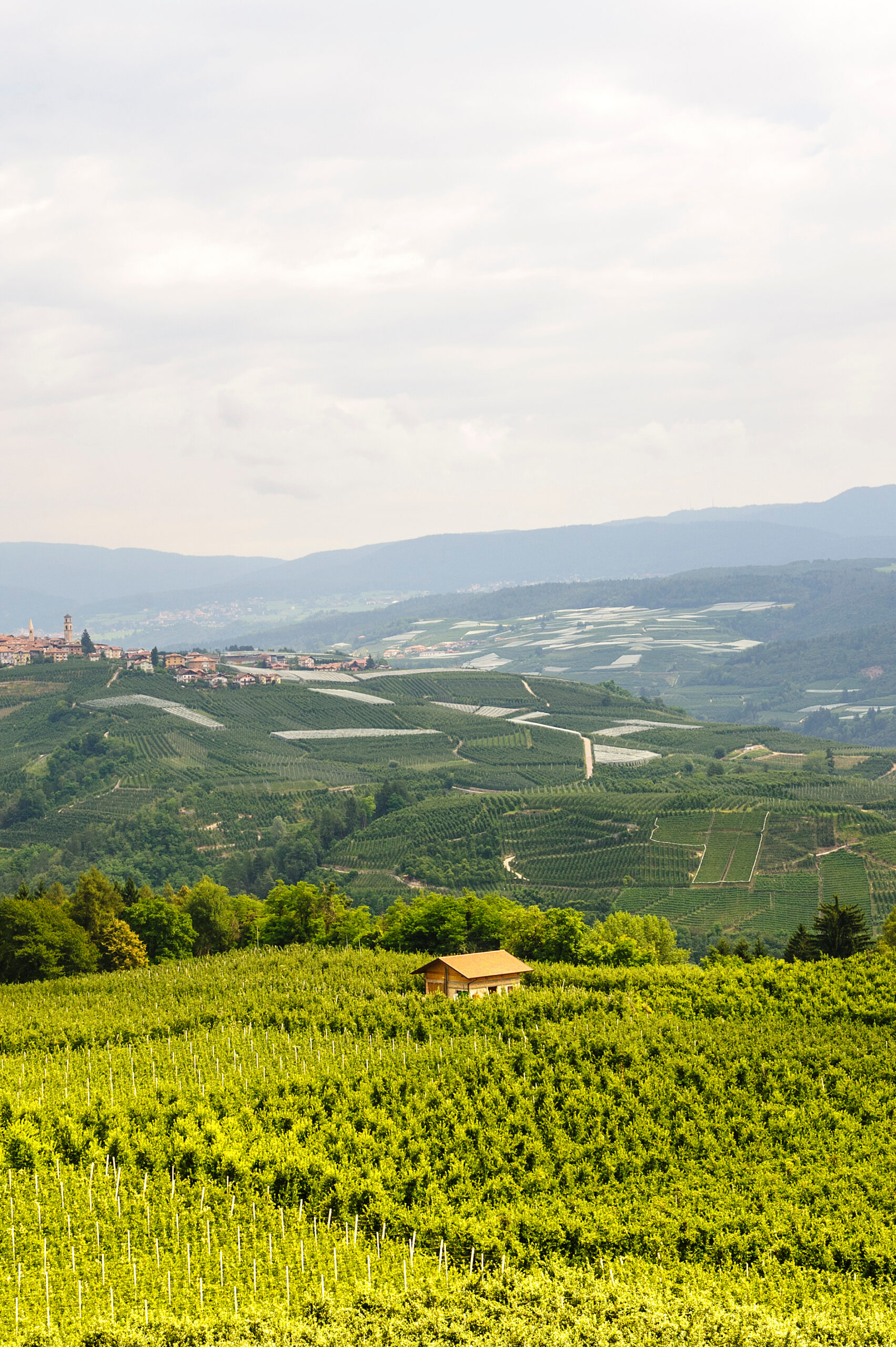Val di Non (Trento)