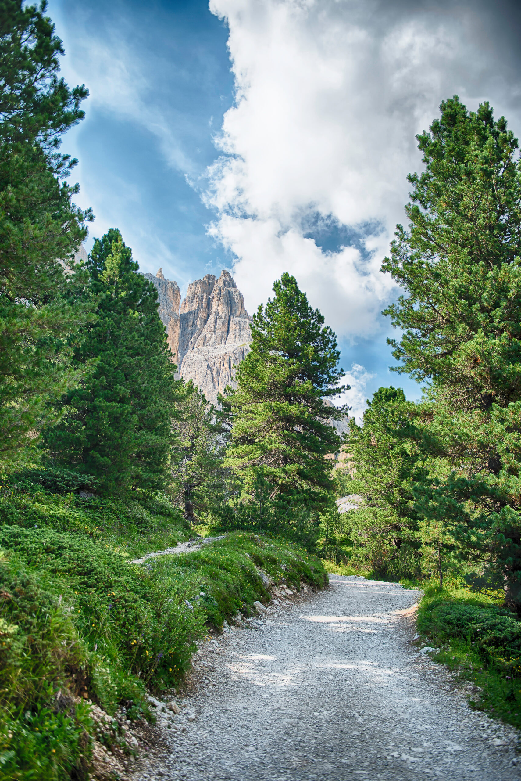 Winding path leading to the Rosengarten Group, Dolomites, Italy