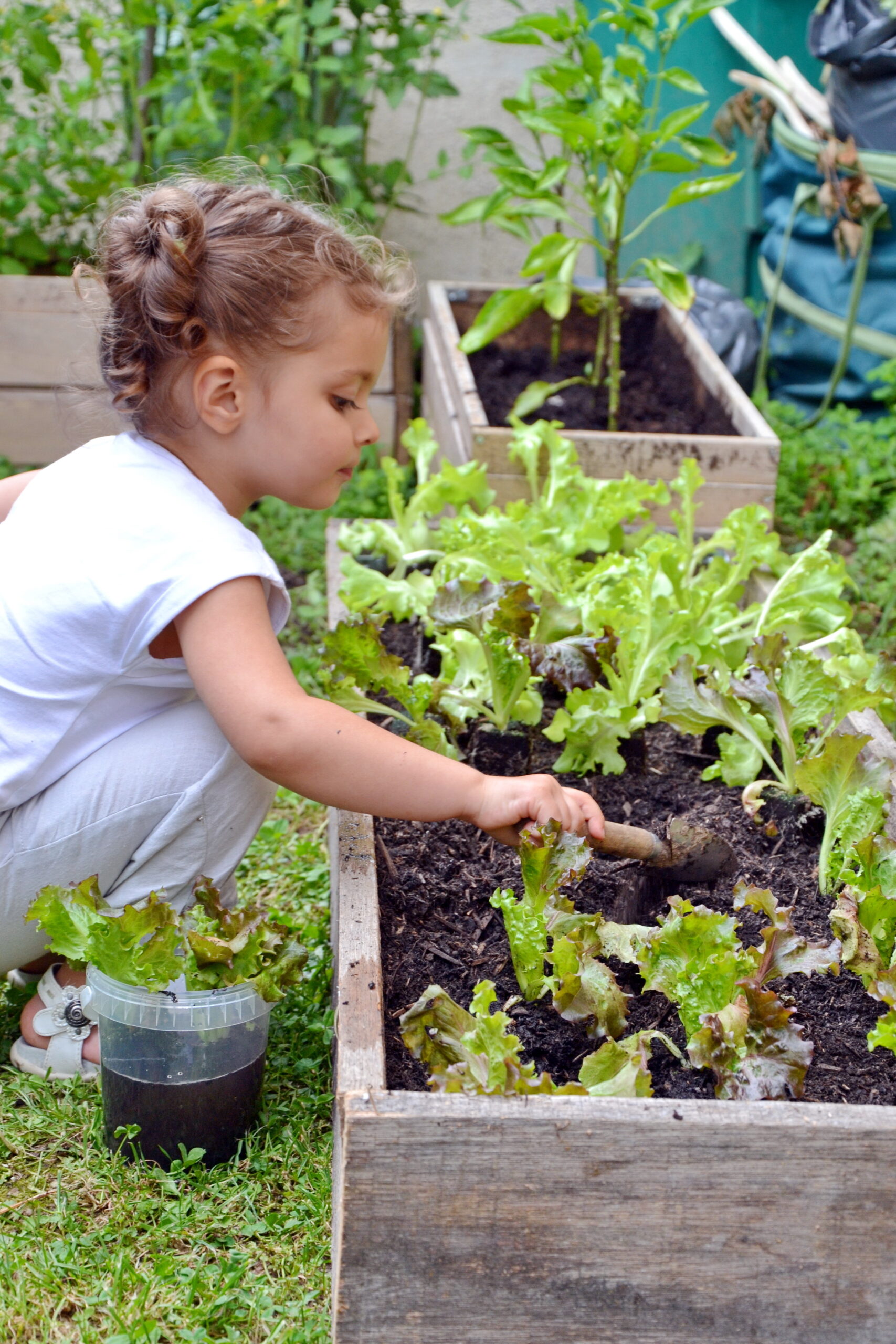 petite fille au carré potager