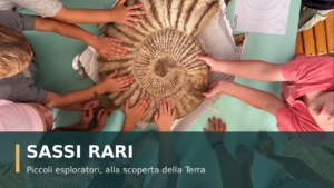 Sassi rari